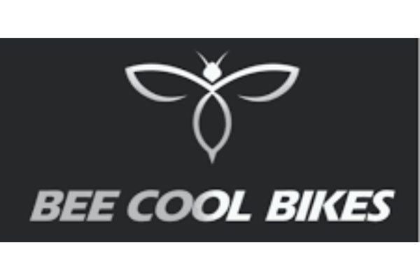 Beecool Bikes coupons code (2)